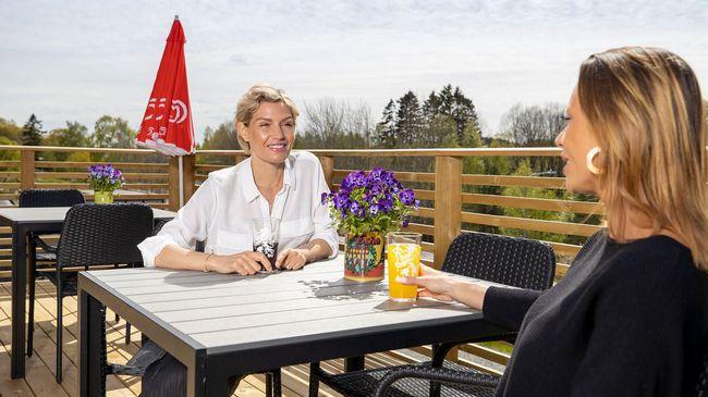 Treetop Hangout & Hotell